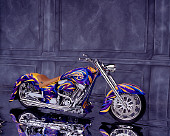 MOT 01 RK0461 02
2004 Custom Motorcycle Custom Graphics