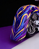MOT 01 RK0465 01
2004 Motorcycle Custom Graphics Rear Fender