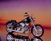 MOT 01 RK0499 09
2002 Richmond Custom Motorcycle Black