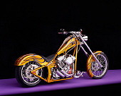 MOT 04 RK0015 06
2004 Coastside Custom Chopper Gold With Flames