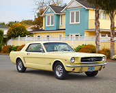 MST 01 BK0044 01
1964 1/2 Ford Mustang 