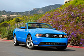 MST 01 RK1247 01
2011 Ford Mustang GT Blue 3/4 Front View On Pavement By Wildflowers