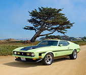 MST 01 RK1345 01
1971 Ford Mustang Mach 1 Grabber Lime 3/4 Front View On Sand By Tree