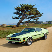 MST 01 RK1346 01
1971 Ford Mustang Mach 1 Grabber Lime 3/4 Front View On Sand By Tree