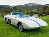 MST 01 RK1367 01
1962 Ford Mustang 1 Concept White With Blue Stripe 3/4 Front View On Grass