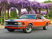 MST 01 RK1435 01
1970 Ford Mustang Mach I Orange With Black Stripe 3/4 Front View On Pavement By Purple Flowers