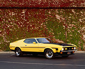 MST 01 RK0126 04
1971 Ford Mustang 351 Boss  3/4 Front On Pavement By Ivy Covered Wall Headlights On