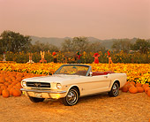 MST 01 RK0304 01
1964 1/2 Ford Mustang Convertible White 3/4 Front View At Pumpkin Patch