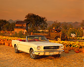 MST 01 RK0305 04
1964 1/2 Ford Mustang Convertible White 3/4 Front View At Pumpkin Patch Filtered