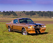 MST 01 RK0369 01
1965 Ford Mustang GT350 Type R Gold And Black Stripe 3/4 Front View On Grass