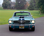 MST 01 RK0672 01
1965 Ford Mustang Green Black Stripes Head On View By House Grass Trees