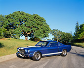 MST 03 RK0085 14
1966 Ford Mustang Shelby GT 350 Blue White Stripes 3/4 Side View On Pavement By Grass And Trees