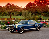 MST 03 RK0088 04
1966 Ford Mustang Shelby GT 350 Blue 3/4 Front View On Pavement By Flowers And Trees