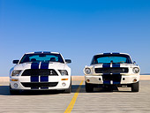 MST 03 RK0156 01
2007 GT500 And 1966 GT350 Ford Shelby White Blue Stripe Low Head On View On Pavement