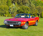 MST 03 RK0195 01
1969 Ford Mustang Shelby GT 500 Convertible Red With Yellow Stripe 3/4 Front View On Grass By Trees