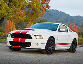MST 04 RK0050 01
2013 Ford Mustang GT500 White With Red Stripes 3/4 Front View On Pavement By Autumn Trees
