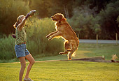 PEO 02 DB0004 01
Golden Retriever With Owner Jumping In Air
