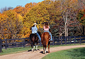PEO 04 DS0005 01
Two Women Riding Horses By Fence And Autumn Forest