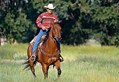 PEO 04 DS0006 01
Man Riding Horse In Field