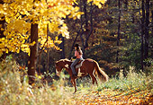 PEO 04 DS0003 01
Woman Riding Horse In Autumn Forest