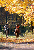 PEO 04 DS0004 01
Two Women Riding Horses In Autumn Forest