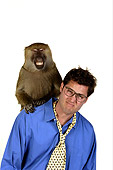 PEO 05 RK0004 01
Monkey On Your Back