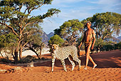PEO 08 MH0006 01
San Hunter Walking With Traditional Bow And Arrow And Cheetah Namibia