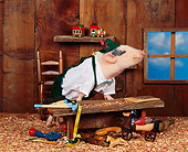 PIG 01 RK0046 20
Humorous Shot Of Pig Sitting On Wooden Work Bench 