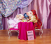 PIG 01 RK0059 14
Ham Reading Pigs Sitting on Chairs By Crystal Ball