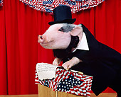 PIG 01 RK0066 11
Abraham Lincoln
