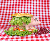 PIG 01 RK0112 01
BLT Sandwich Pig.