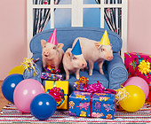 PIG 01 RK0120 01
Three Little Piggies.