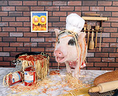 PIG 01 RK0201 20
Chef Boar R Dee