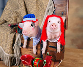 PIG 01 RK0204 26
Raggedy Ham & Hamdy