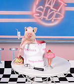 PIG 01 RK0205 19
Hog-n-Dazs
