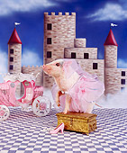PIG 01 RK0218 02
Pigarella Pig In Pink Tutu By Castle And Carriage