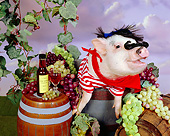PIG 01 RK0236 05
Swine Maker Pig With Moustach In Barrel Of Grapes