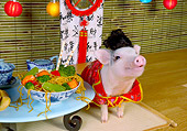 PIG 01 RK0238 01
Chop Suey