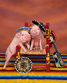 PIG 01 RK0001 13
Two Spanish Pigs Wearing Sombreros On Chair