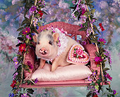 PIG 01 RK0005 01
Springtime Pig In Swing With Flowers Studio