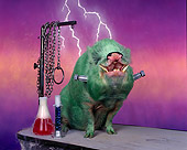 PIG 01 RK0010 27
Frankenstein Pig Green Pig With Lightning