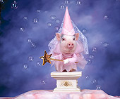 PIG 01 RK0034 03
Fairy Hog Mother