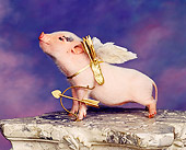 PIG 01 RK0052 17
Vietnamese Pot Belly Cupid Pig Wearing Wings With Bow And Arrow On Pedastal