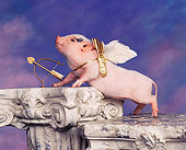 PIG 01 RK0052 20
Vietnamese Pot Belly Cupid Pig Wearing Wings With Bow And Arrow On Pedastal
