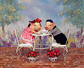 PIG 01 RK0060 10
Sows of France Two Pigs Drinking Tea At Table