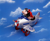 PIG 01 RK0086 28
Vietnamese Pot Bellied Pig In Airplane
