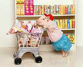 PIG 01 RK0089 09
Vietnamese Pot-Bellied Piggy Went To Market Pushing Shopping Cart With Food