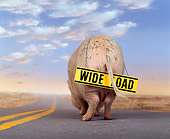 PIG 01 RK0106 14
Wide Load