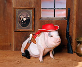 PIG 01 RK0167 05
Piggie The Kid