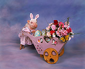 PIG 01 RK0188 07
Hippidy Hoggidy